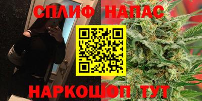 apvp Пугачёв