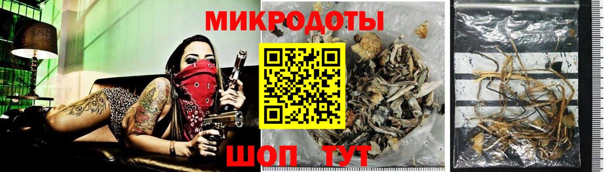 Галлюциногенные грибы Psilocybine cubensis  Галлюциногенные грибы прущие грибы  Вход с VPN  Саратов 